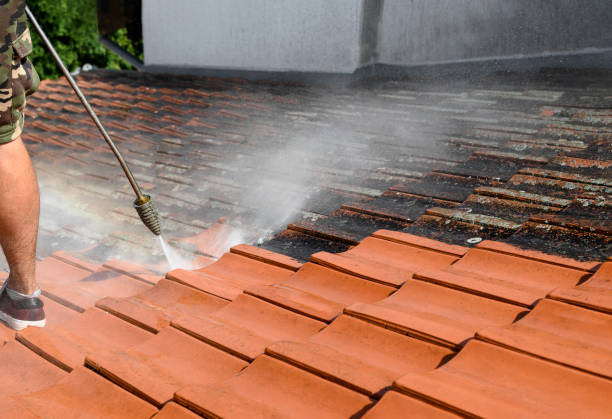 Best Residential Pressure Washing Services  in Amesti, CA